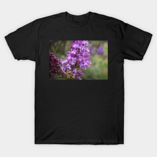 Purple Lilac T-Shirt